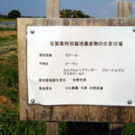特別栽培農産物