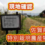 有機 オーガニック 自然農法 有機農業 現地確認
