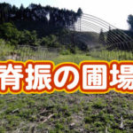 有機 オーガニック 自然農法 有機農業 脊振の圃場