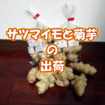 有機 オーガニック 自然農法 有機農業 サツマイモと菊芋の出荷