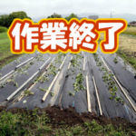 有機 オーガニック 自然農法 有機農業 作業終了