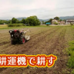 有機 オーガニック 自然農法 有機農業 耕運機で耕す