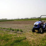 有機 オーガニック 自然農法 有機農業 自然農法の畑