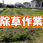 有機 オーガニック 自然農法 有機農業 除草作業