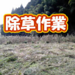 有機 オーガニック 自然農法 有機農業 除草作業