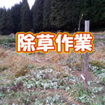有機 オーガニック 自然農法 有機農業 除草作業