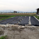 稲の種まき #オーガニック #有機農業 #無農薬 #無農薬米 #自然米 #自然農法 #自然野菜 #無農薬野菜